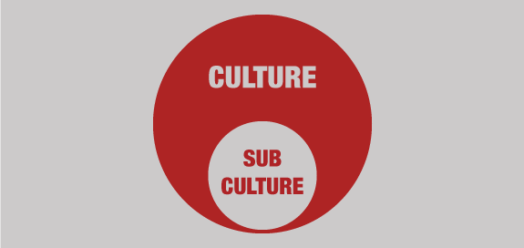 Grafico esemplificativo del concetto di subcultura