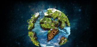 Earth Overshoot Day: la richiesta d'aiuto della Terra