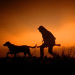 La caccia: rituale per tradizione o attività obsoleta?