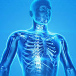 Il corpo tra biologia e sociologia