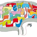 Gli strumenti per misurare l’intelligenza di una città: le sei dimensioni di Giffinger