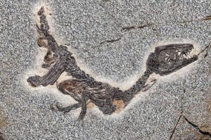 Nel periodo vittoriano i dinosauri vennero etichettati come creature antidiluviane