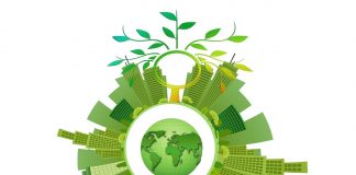 sostenibilità green verde