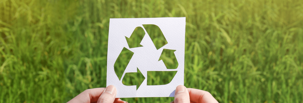 Verso il packaging ecologico