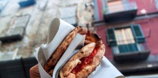 La Fenomenologia della Micro-Imprenditorialità Food Partenopea