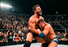 wrestling professionistico