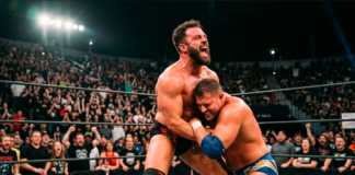 wrestling professionistico